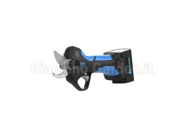 FORBICE CAMPAGNOLA XM