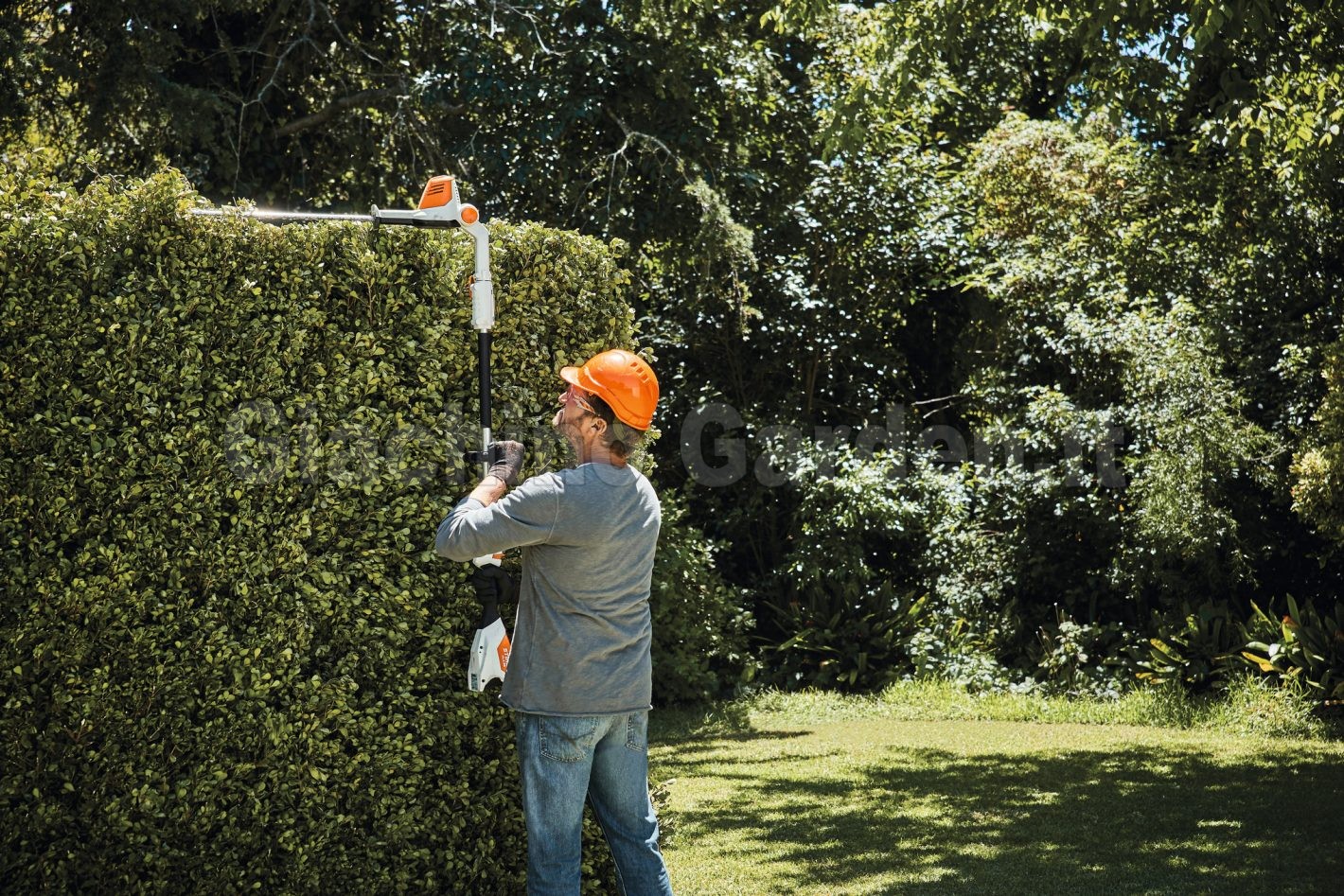 Operatore con casco taglia la parte superiore di una siepe alta in giardino utilizzando il tagliasiepi telescopico a batteria STIHL HLA 56.
